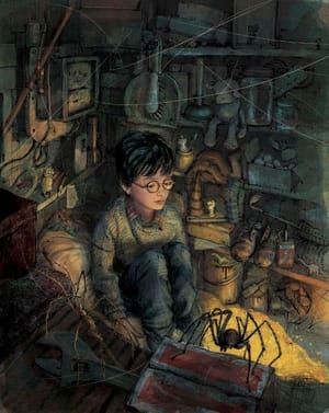 Artwork Title: The Cupboard Under the Stairs