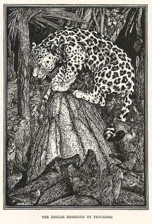 Artwork Title: The Jaguar Besieged by Peccaries