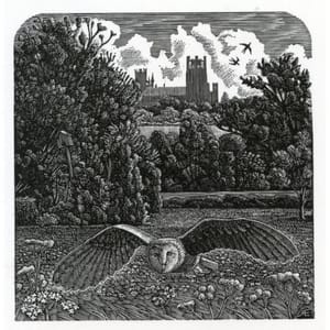 Artwork Title: The Old Owl House