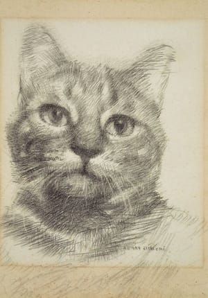 Artwork Title: Cat