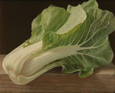 Artwork Title: Bokchoy