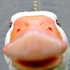 игорь дерябин