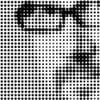 david karp