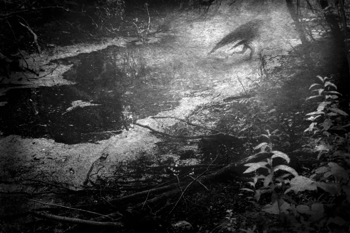 Artwork Title: undefined