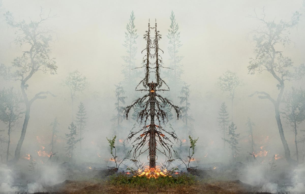 Artwork Title: Fire with Fire