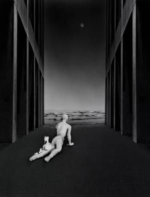 Artwork Title: Untitled