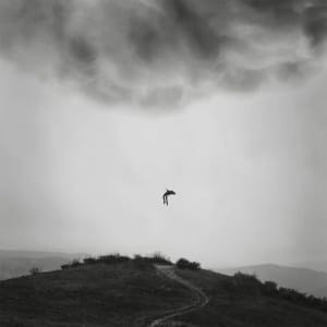 Artwork Title: Untitled