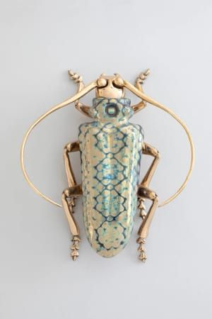 Artwork Title: Sphenopteras Radiantis