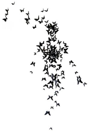 Artwork Title: Untitled