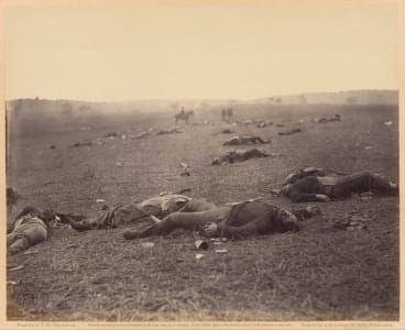 Artwork Title: A Harvest of Death