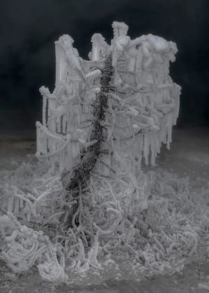 Artwork Title: Untitled