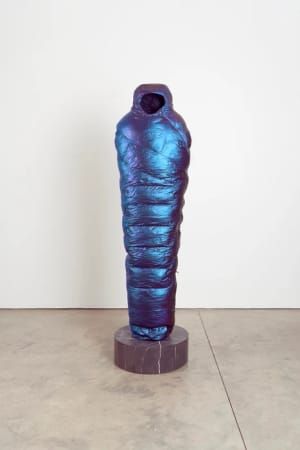 Artwork Title: Sarcophagus (blue chameleon)