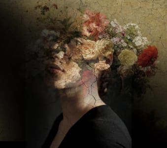 Artwork Title: Untitled