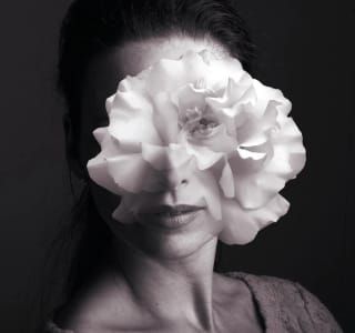 Artwork Title: Untitled