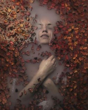 Artwork Title: Untitled
