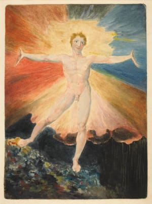 Artwork Title: Albion rose