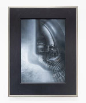 Artwork Title: Biomechanische Landscape
