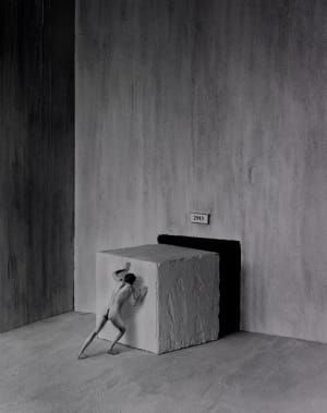 Artwork Title: Untitled