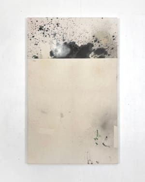 Artwork Title: Tache noire fendue