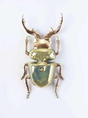 Artwork Title: Lucanus Pecuniaria